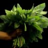 Tete (African Spinach)