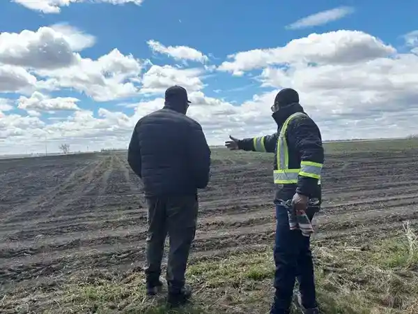 Potato farming